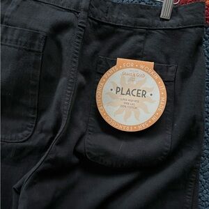 Gravel and Gold Placer Pants in Asphalt